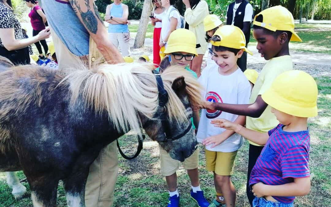 Fomos Explorar a Quinta Pedagógica da Granja