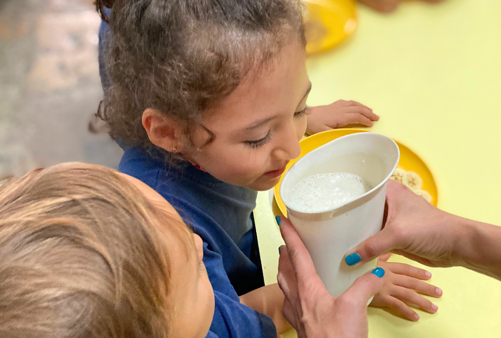 Dia Mundial da Alimentação