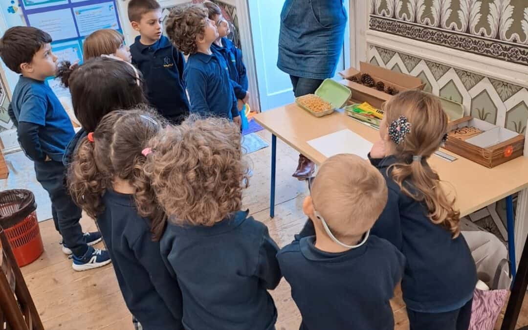 O Nosso Cantinho da Matemática
