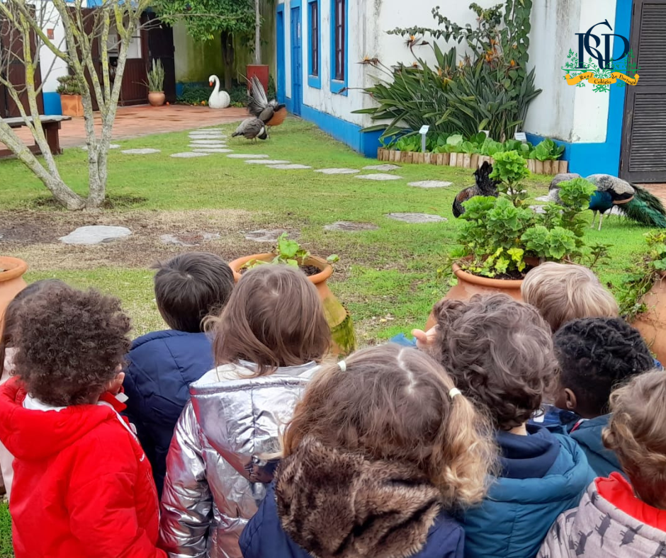 Pré-Escolar na Atividade Animais Que Hibernam