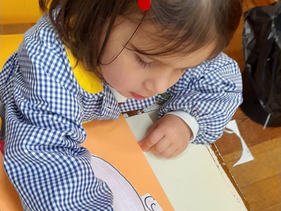 A Pré-Escolar Apresenta: O Meu Rosto