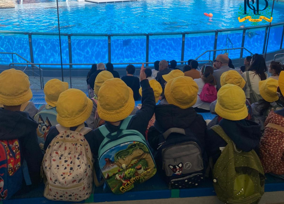 Chegaram ao Fim as Reais Férias da Páscoa 2026!