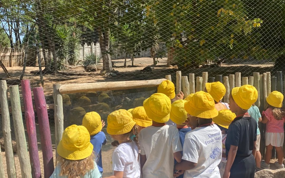 Reais Férias de Verão | A Pré-Escolar foi ao Badoca!